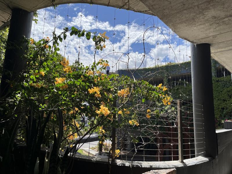 To Let commercial Property for Rent in Northgate Island Western Cape